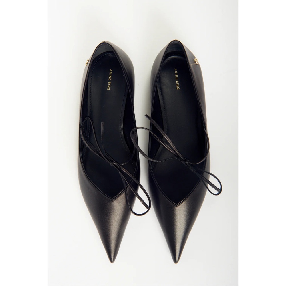 Anine Bing Nikki Flats